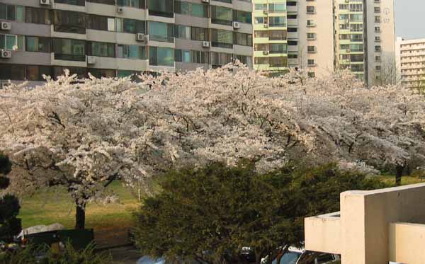 �������� - ������������