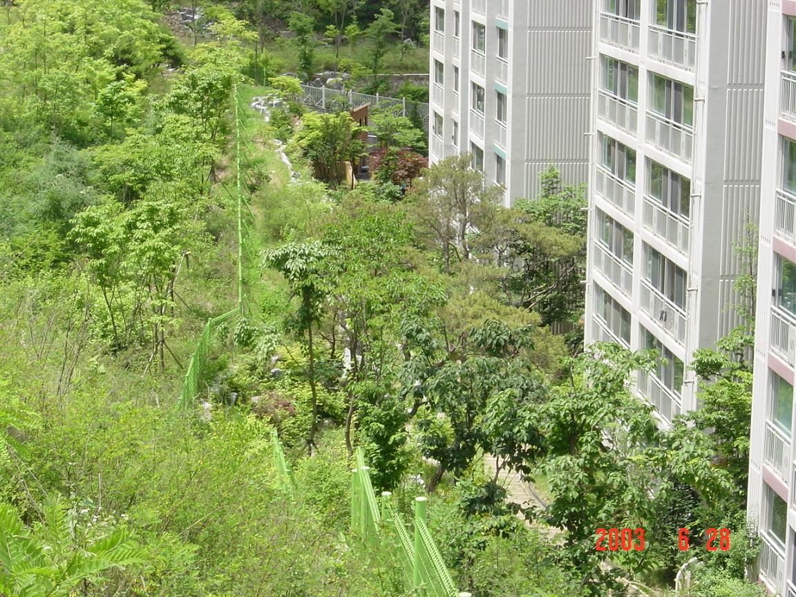 �������� - ������������