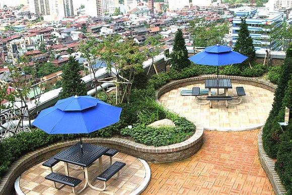 �������ü� - ��å��(����)