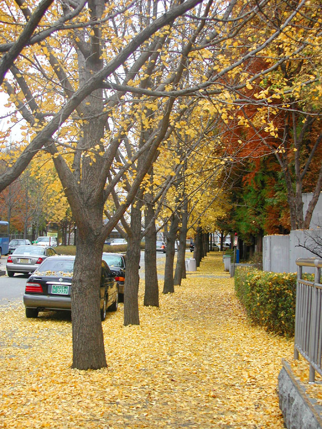 �����ֺ��ü� - �ް�/����