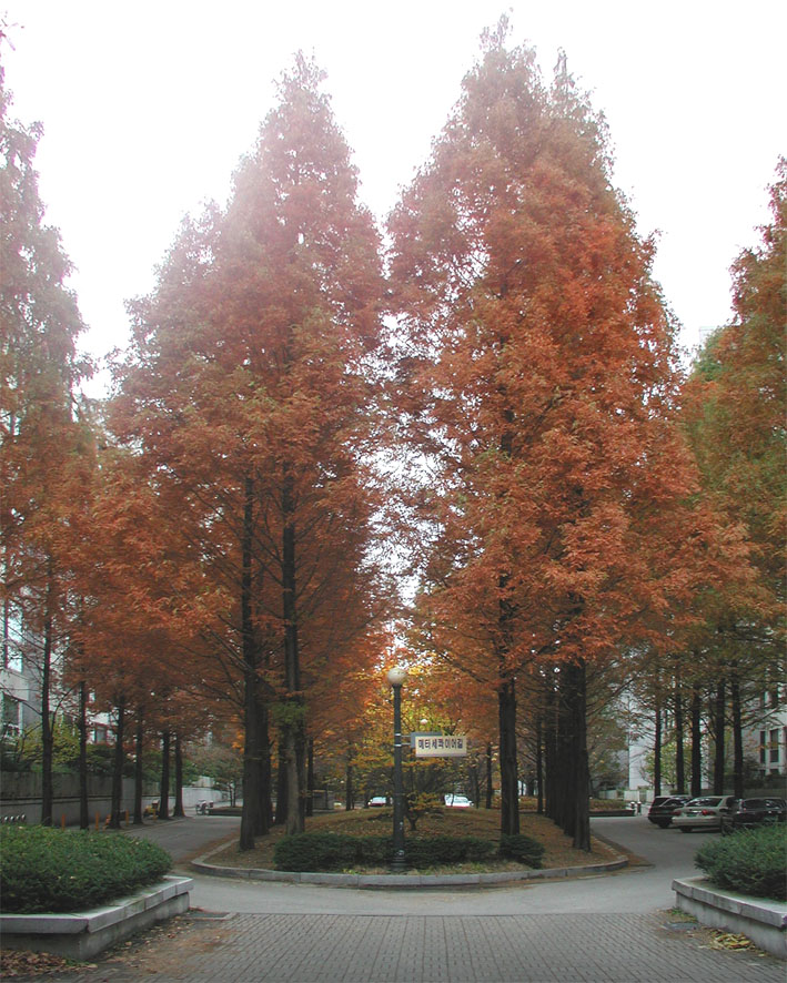 �����ֺ��ü� - �ް�/����