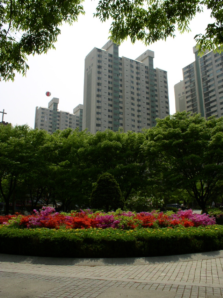 �����ֺ��ü� - �ް�/����