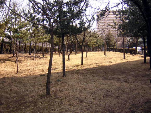 �������� - ������������