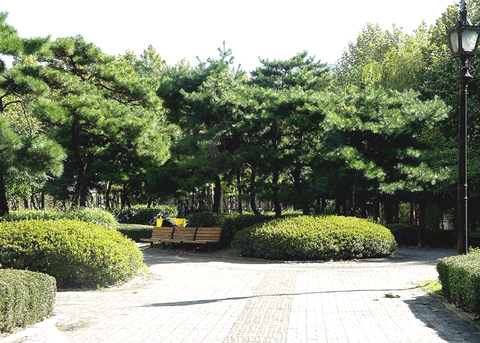 �������ü� - ��å��(����)