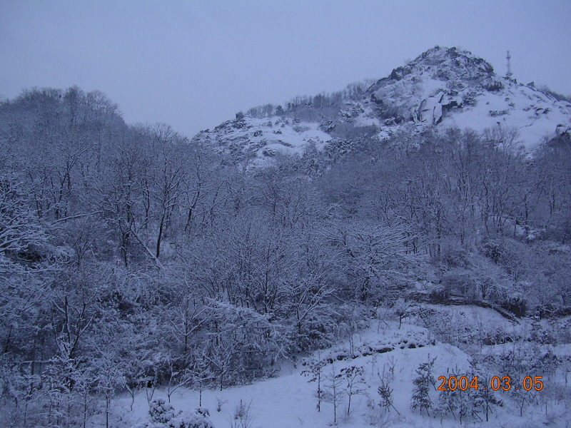 �ܺ����� - ��