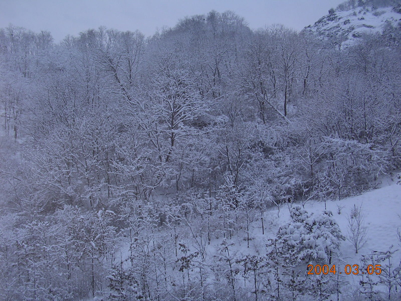 �ܺ����� - ��