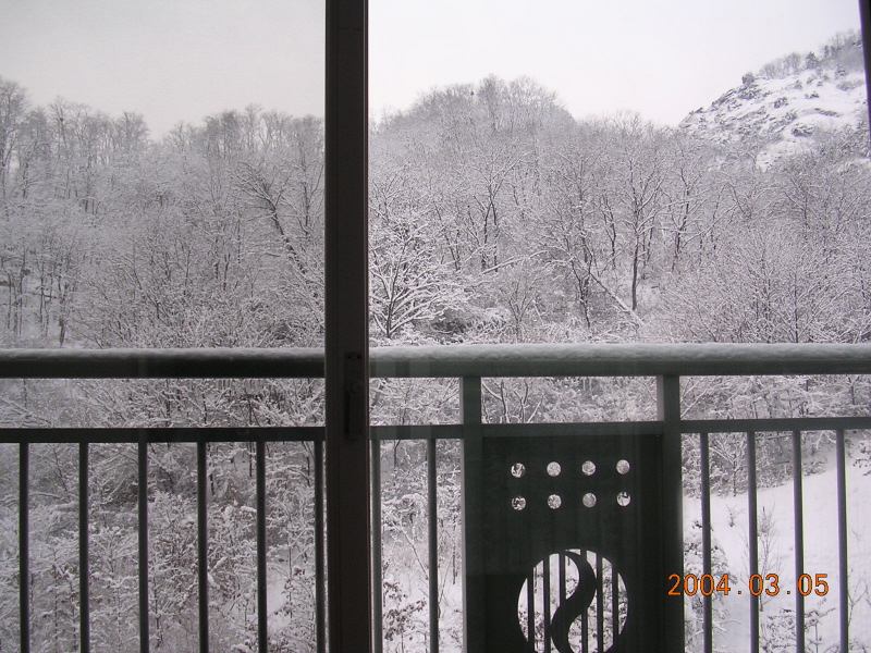 �ܺ����� - ��