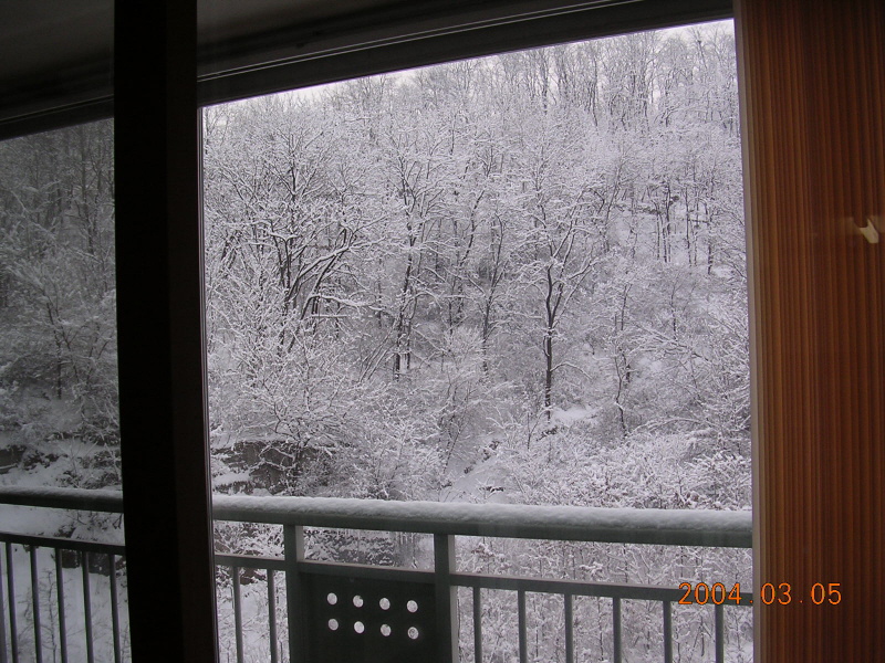 �ܺ����� - ��