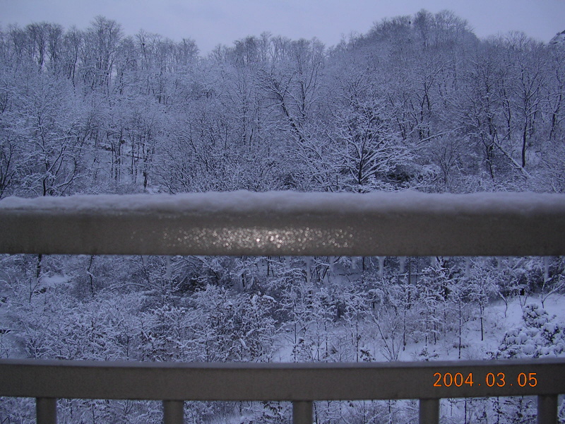 �ܺ����� - ��