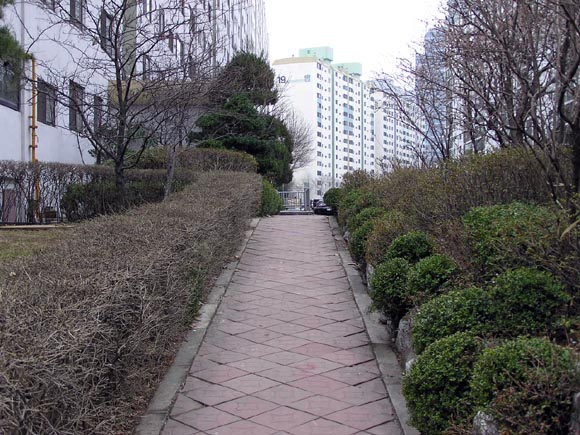 �������ü� - ��å��(����)