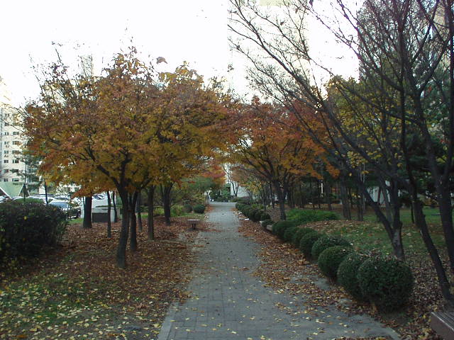 �������ü� - ��å��(����)