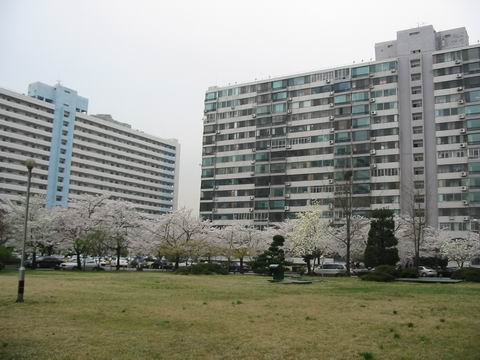 �������� - ������������