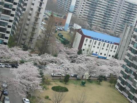 �������� - ������������