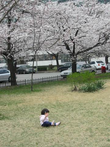 �������� - ������������