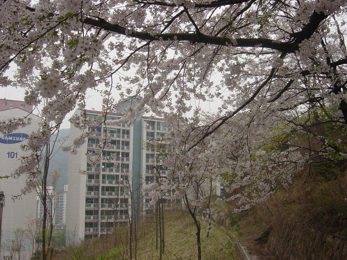 �������� - ��������