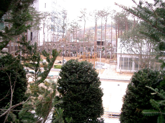 �������� - ������������