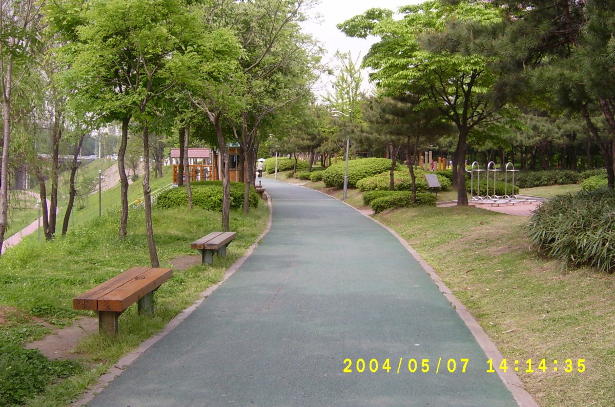 �������ü� - ��å��(����)