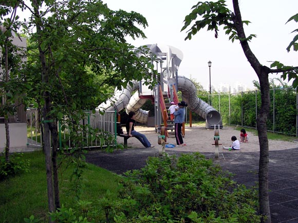 �������ü� - ������