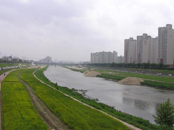 �������� - ��������