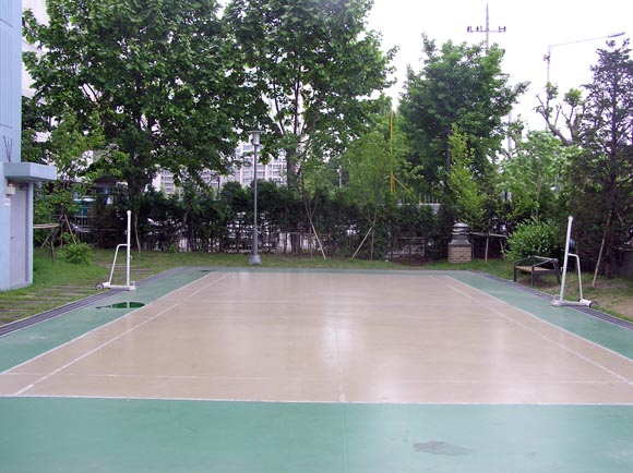 �������ü� - �������ü�