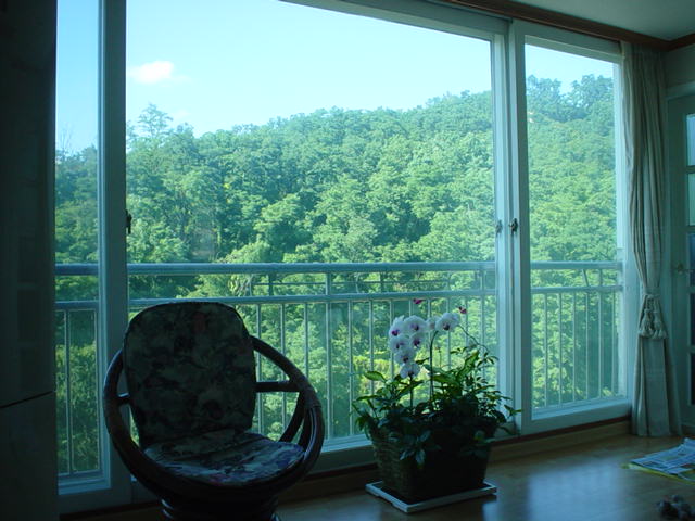 �ǳ����� - �Ž�