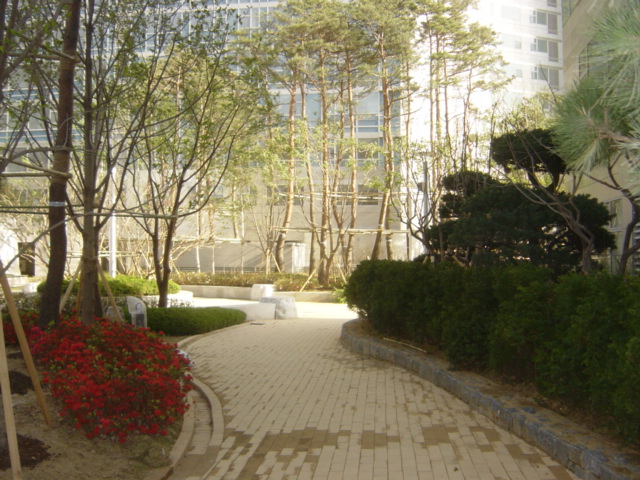 �������ü� - ��å��(����)