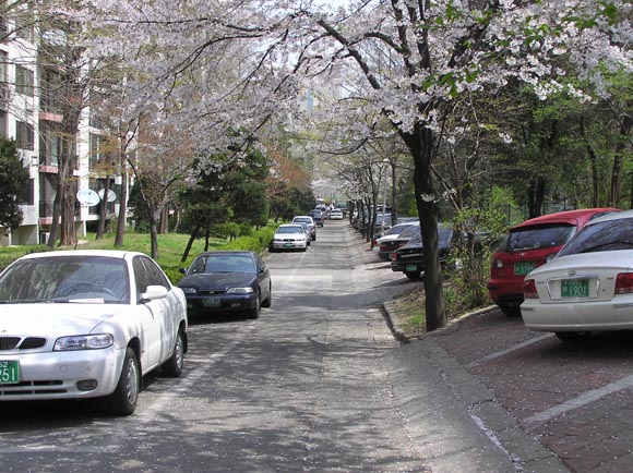 �������ü� - ��å��(����)