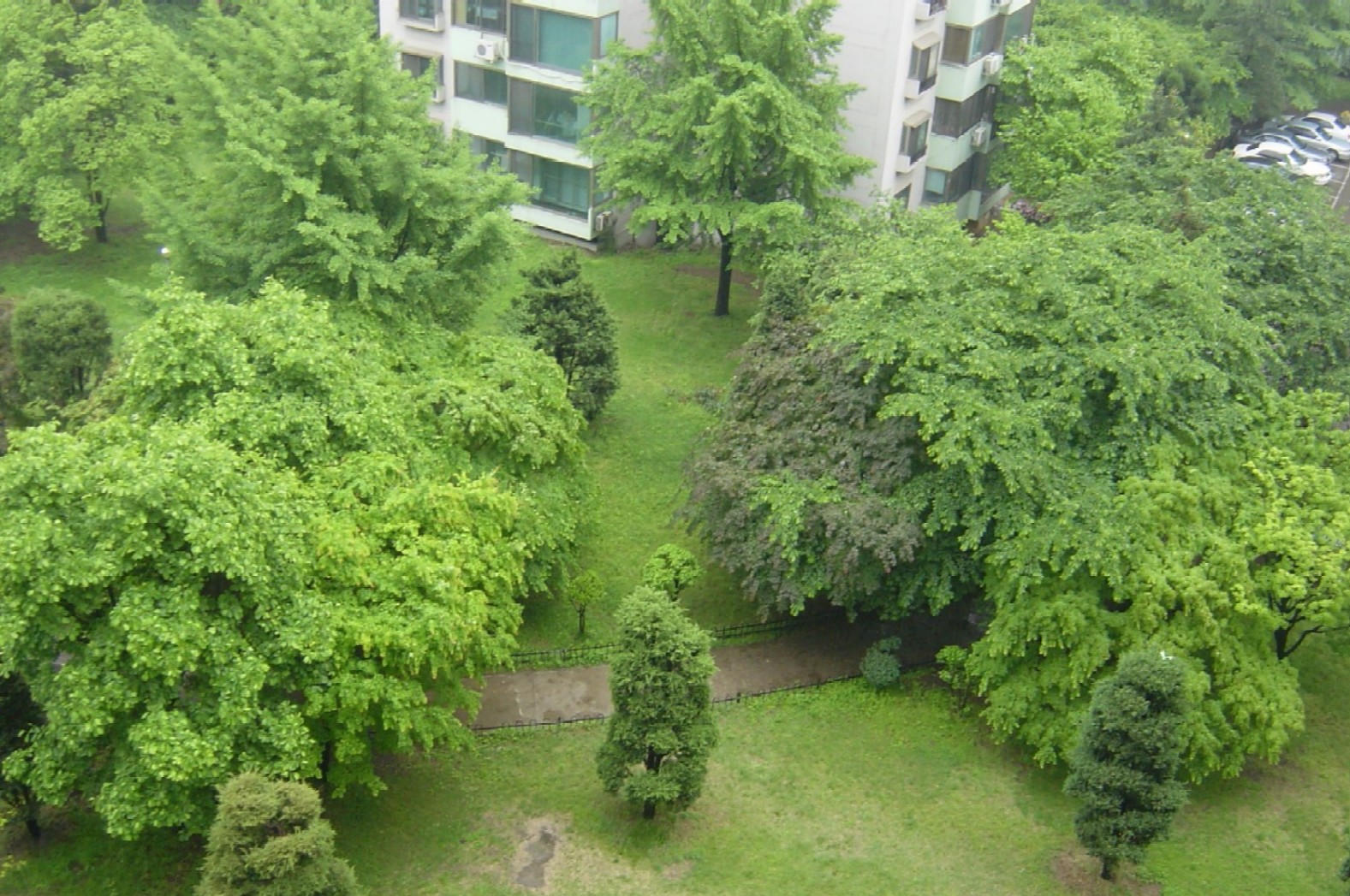 �������� - ������������