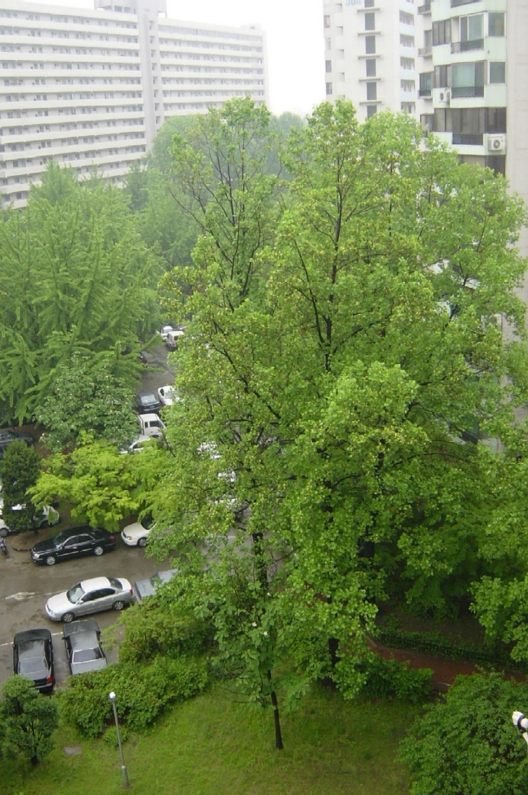 �������� - ��������