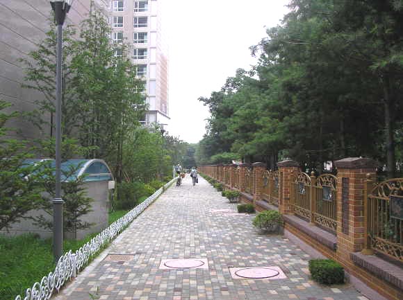 �������ü� - ��å��(����)