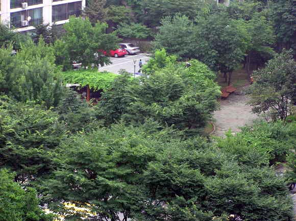 �������� - ������������