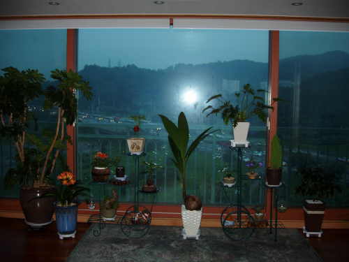 �ǳ����� - ������