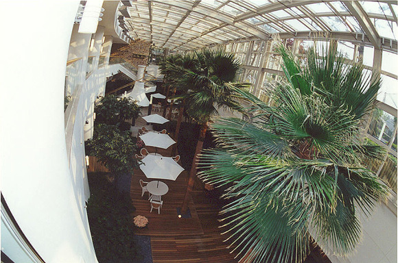 �������ü� - ���ǽü�(�ްԽǵ�)