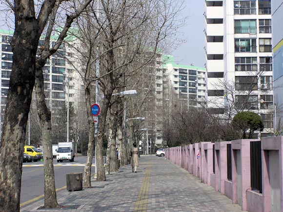 �����ֺ��ü� - �ֺ�����