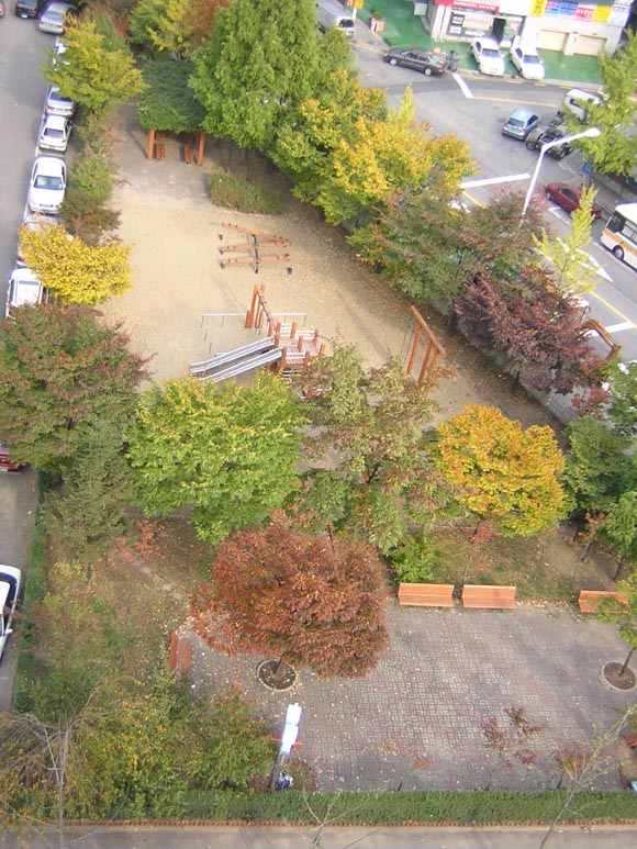 �������ü� - ������