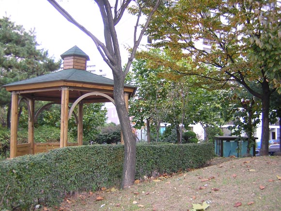 �������ü� - ��å��(����)