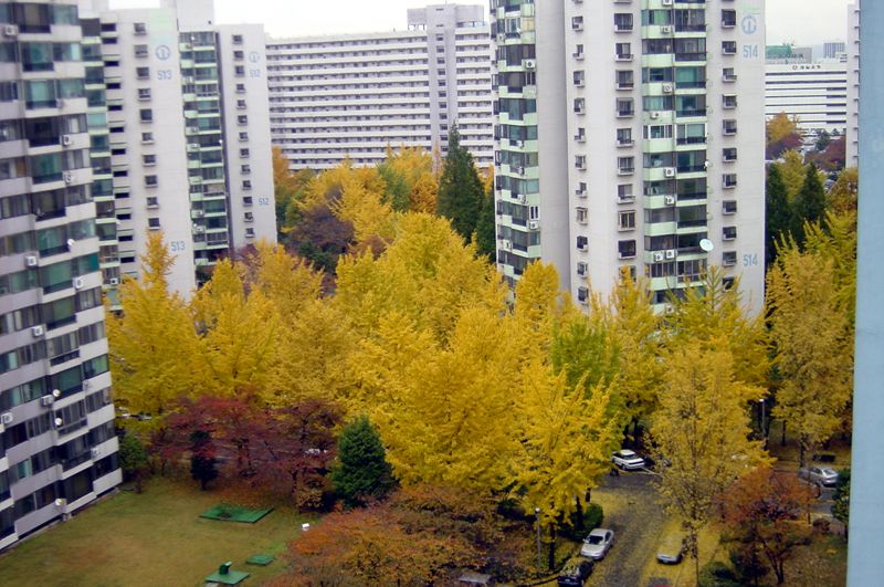 �������� - �����Ա�����