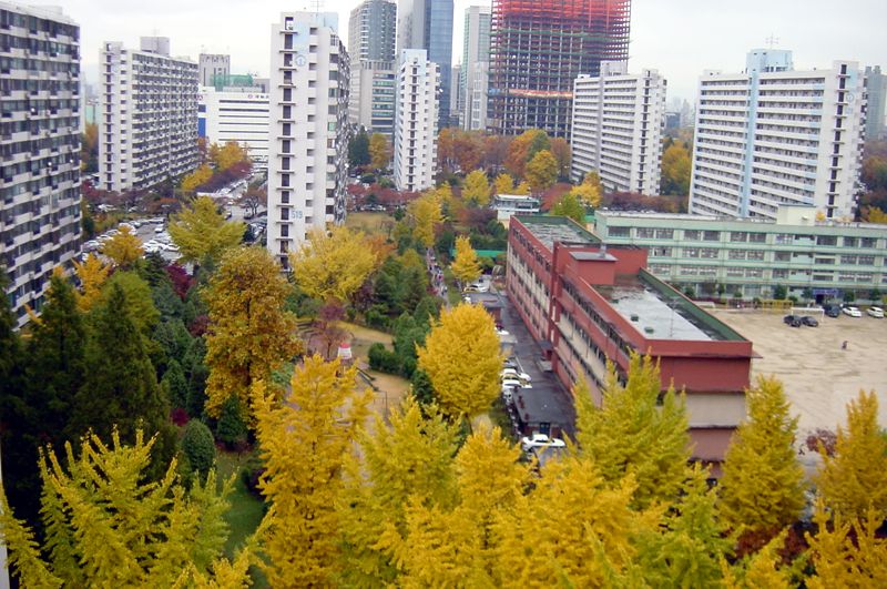 �������� - ��������