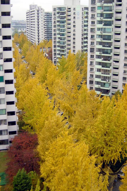 �������� - ������������