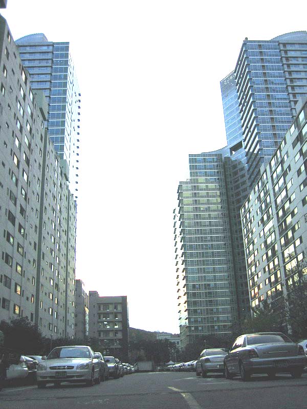 �������� - ��������