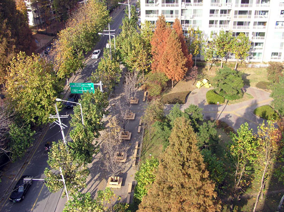 �������ü� - ��å��(����)