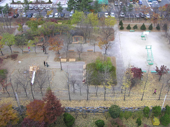 �������� - ������������