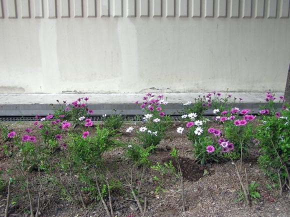 �������� - ������������