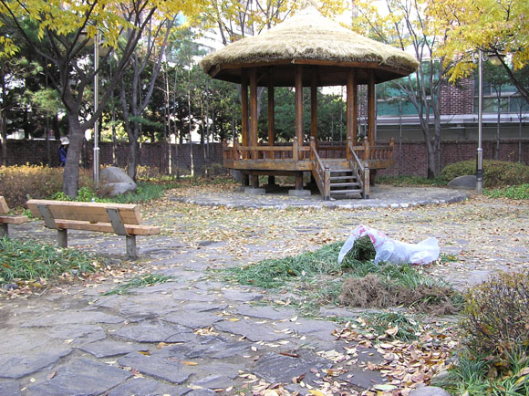 �������ü� - ���ǽü�(�ްԽǵ�)