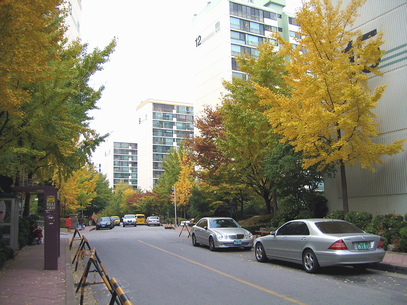 �������� - ������������