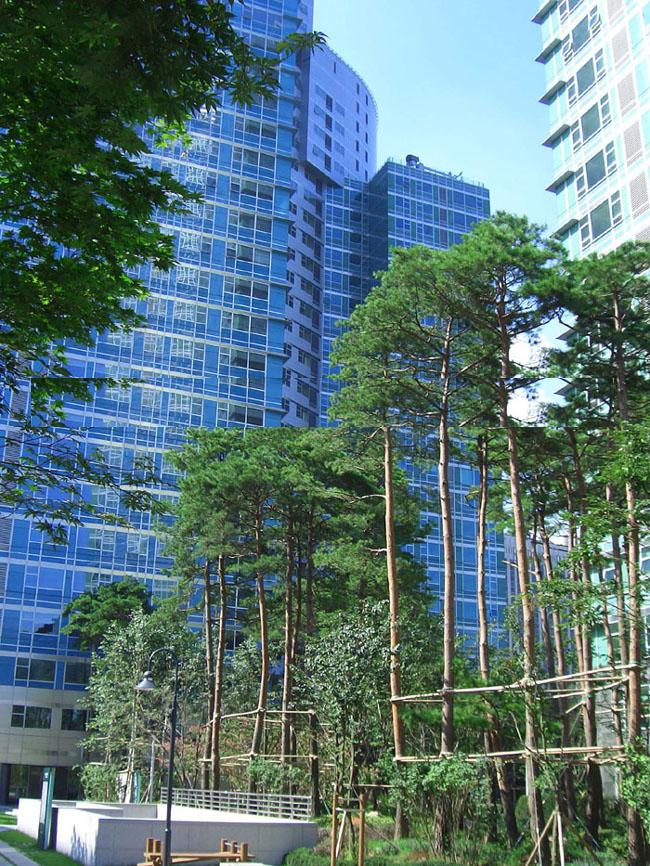 �������� - ������������