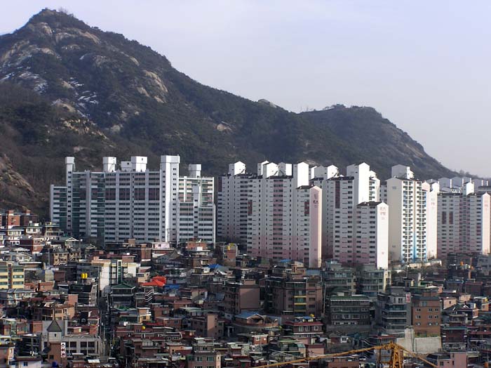 �������� - ��������