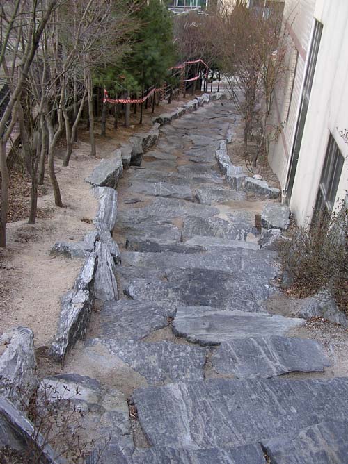 �������ü� - ��å��(����)