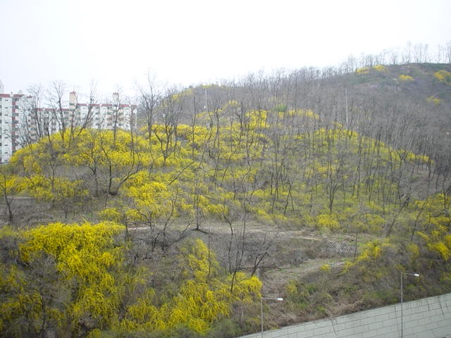 �ܺ����� - ��