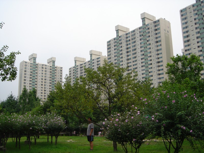 �������� - ��������